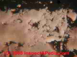 Paint lab Photograph of sample of failed paint